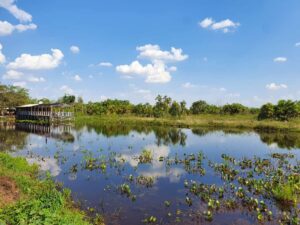 Leia mais sobre o artigo Empaer promove encontro do turismo rural na Fit Pantanal 2022