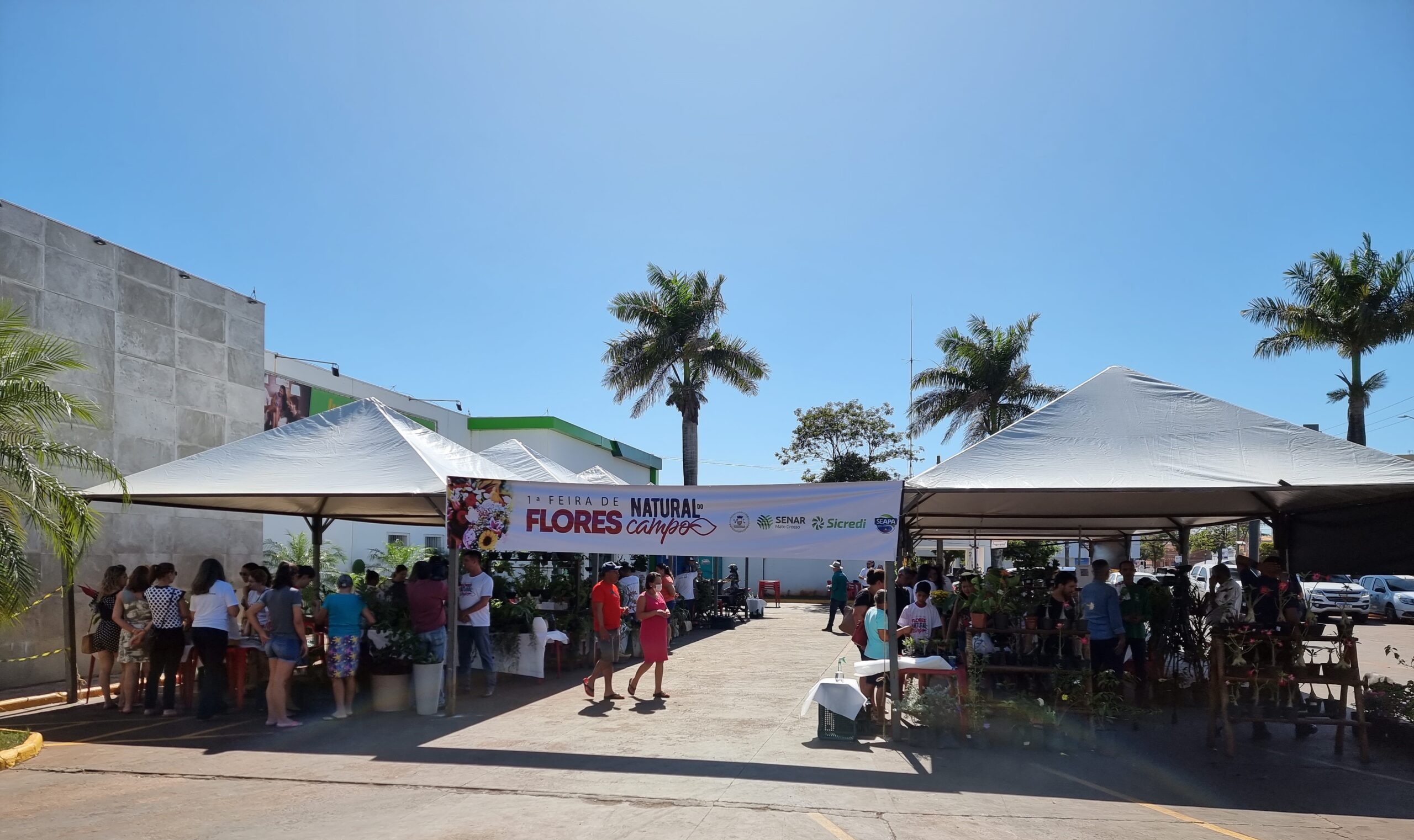 Você está visualizando atualmente Tangará da Serra recebeu a Feira de Flores Natural do Campo