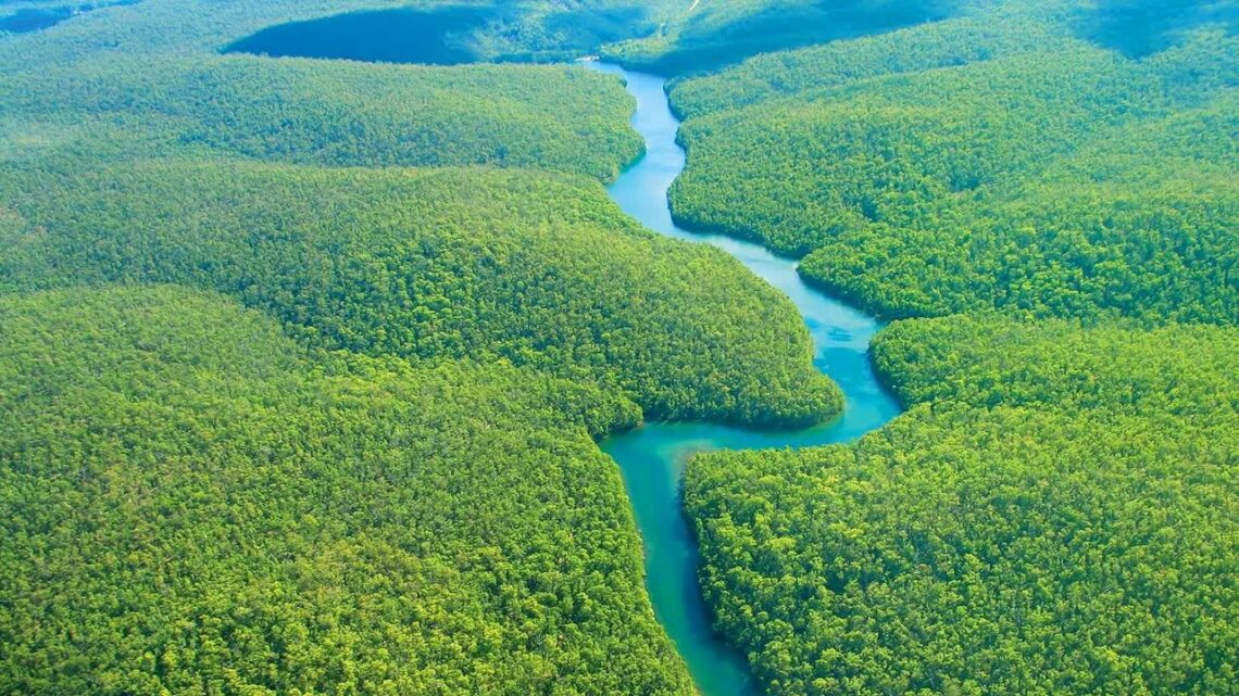 Vídeo mostra que maior área de proteção ambiental do mundo é brasileira Vídeo mostra que maior área de proteção ambiental do mundo é brasileira