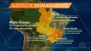 Mato Grosso é destaque na fiscalização de desmate ilegal no Brasil