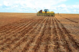 Leia mais sobre o artigo Sai calendário de plantio de soja em Mato Grosso para o segundo semestre