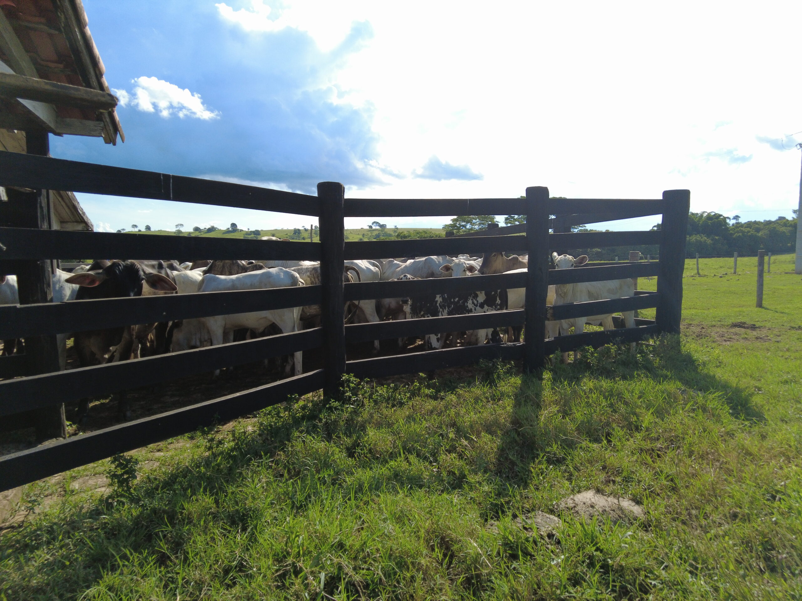 Você está visualizando atualmente DIAS DE CAMPO: Evento inicia nesta quinta-feira na região oeste de MT