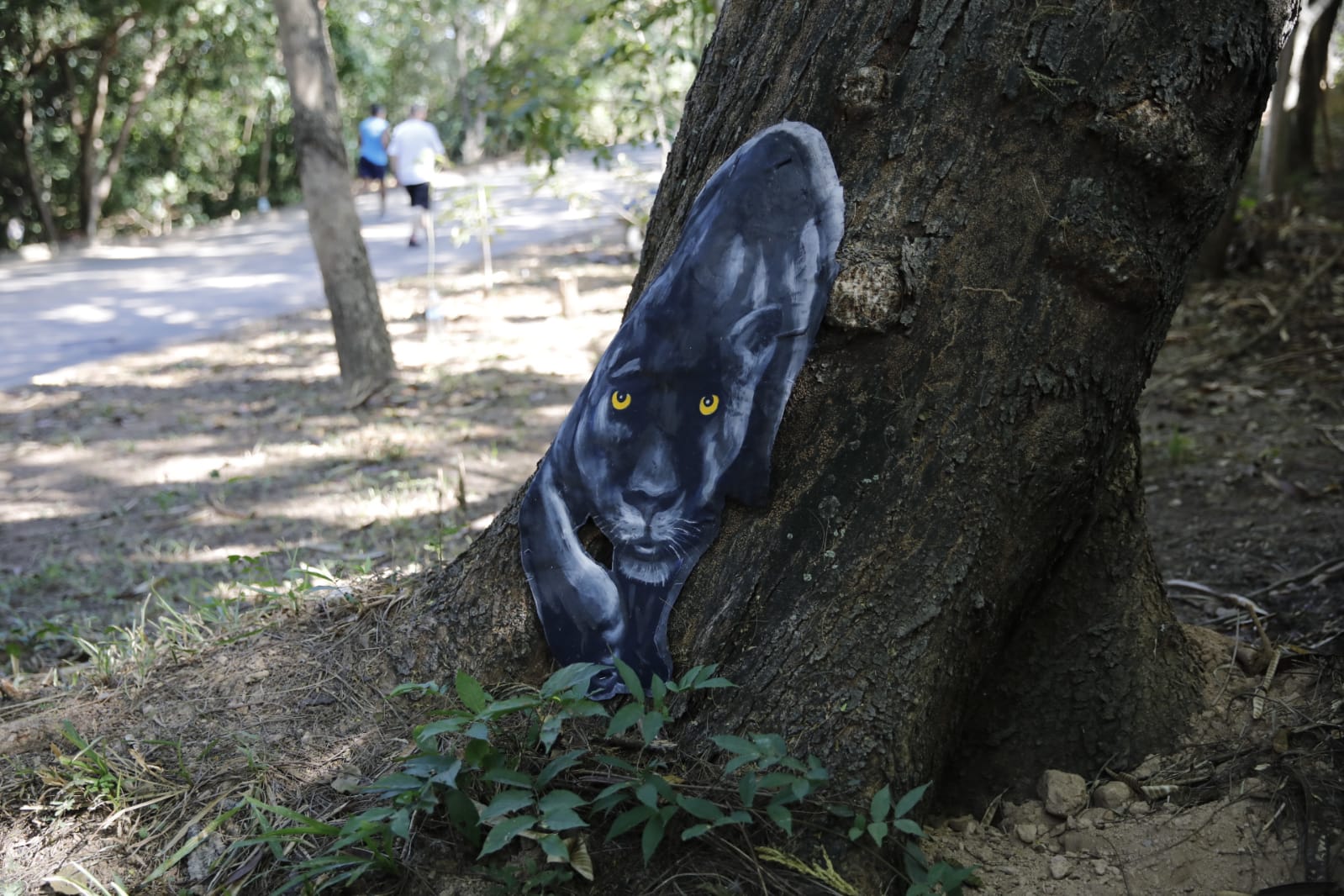 Você está visualizando atualmente Exposição permanente acontece nas trilhas do Parque Mãe Bonifácia