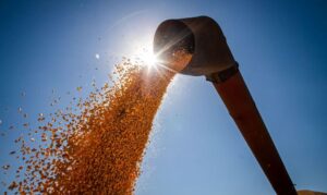 Leia mais sobre o artigo IBGE estima safra recorde de produção agrícola em 2022