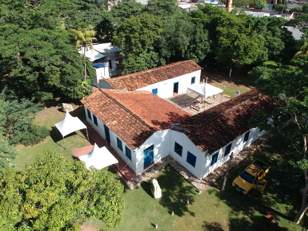 No momento, você está visualizando Museu de História Natural traz experiências sobre o Dia Mundial do Meio Ambiente