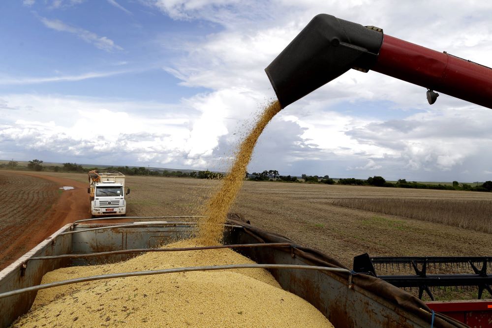 Você está visualizando atualmente Produtores de soja de MT reclamam de preços dos fertilizantes