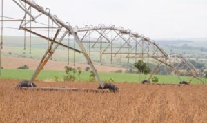 Leia mais sobre o artigo Rússia diz que mantém fornecimento de fertilizantes para o Brasil