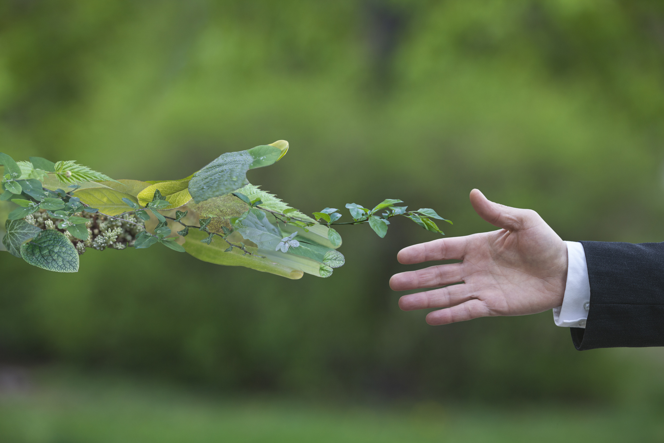 Você está visualizando atualmente Sema-MT abre inscrições para Curso de Gestão Ambiental