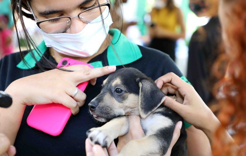 No momento, você está visualizando Começa em agosto o Mês de Proteção ao Bem-Estar Animal em Cuiabá