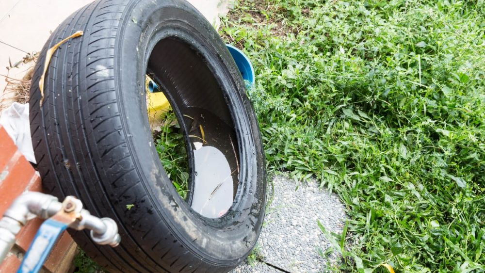 No momento, você está visualizando Casos de dengue em Cuiabá aumentam 26,4% no primeiro semestre