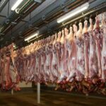 Exportações de carne bovina para o Egito aumentam