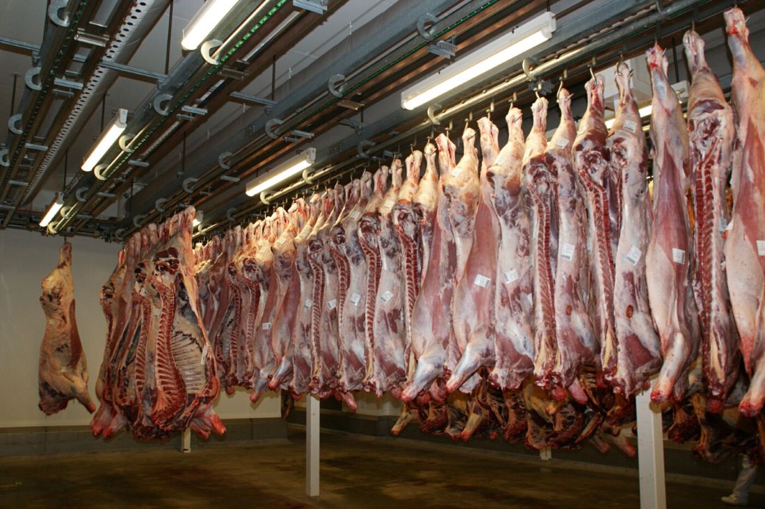 Você está visualizando atualmente Exportações de carne bovina para o Egito aumentam