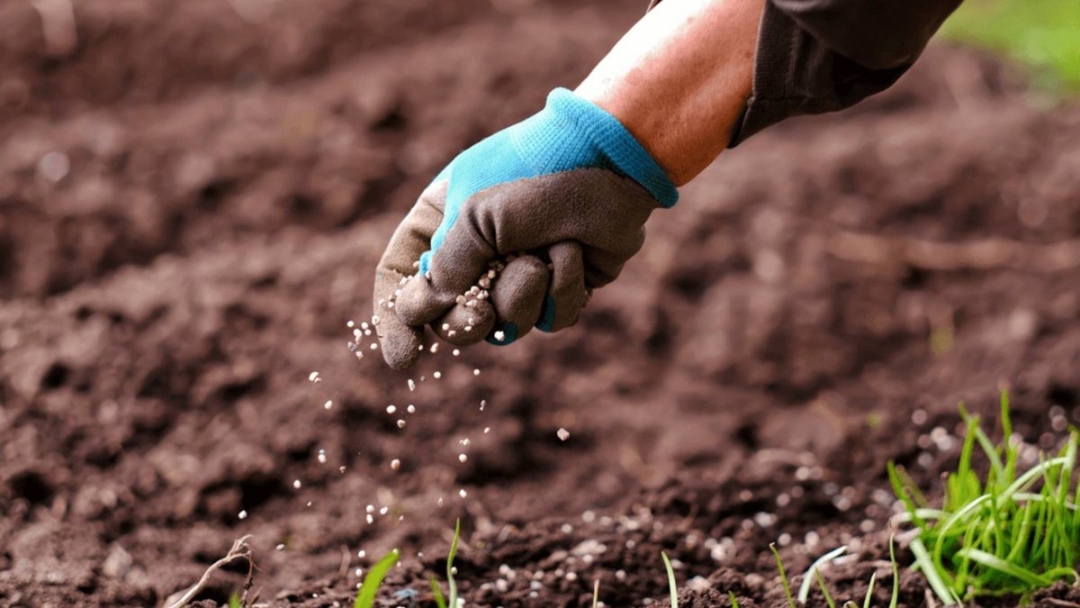 Você está visualizando atualmente Preço dos fertilizantes sofreu redução, aponta índice