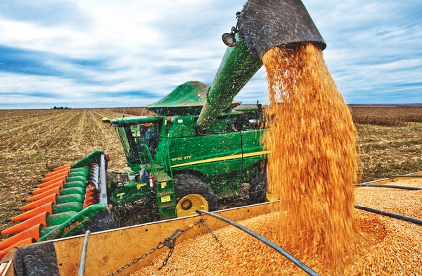 No momento, você está visualizando Agricultores do Brasil colhem quase um terço do milho na segunda safra