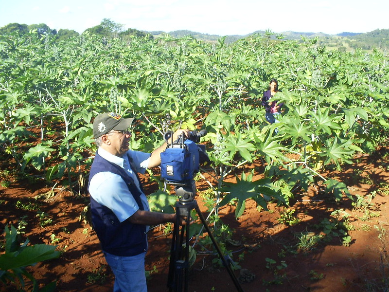 No momento, você está visualizando Selo Biocombustível Social promove a inclusão de agricultores familiares