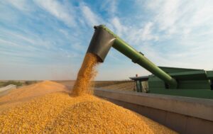 Leia mais sobre o artigo Brasil negocia primeiro embarque de milho para a China