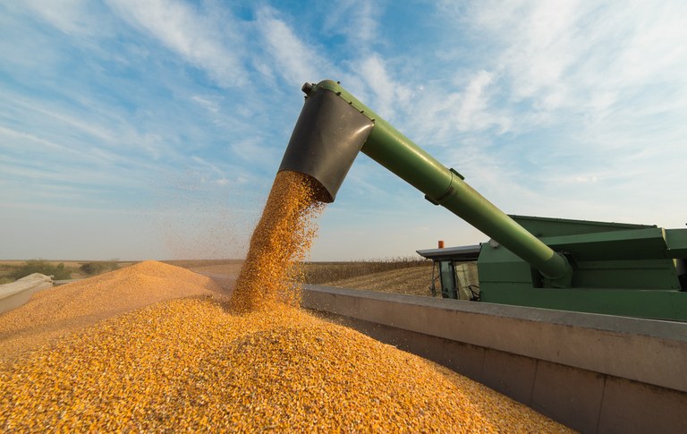 Você está visualizando atualmente Brasil negocia primeiro embarque de milho para a China
