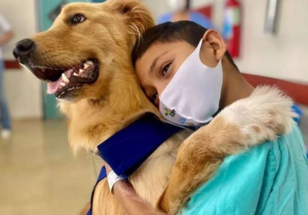 Você está visualizando atualmente Alecrim, o cão que espanta medo e depressão de crianças internadas