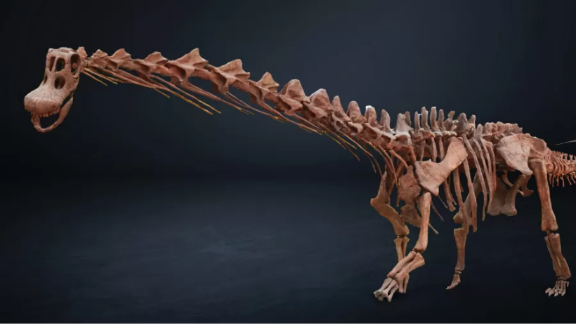 Você está visualizando atualmente Patagotitan, o maior dinossauro do mundo ganha exposição em SP