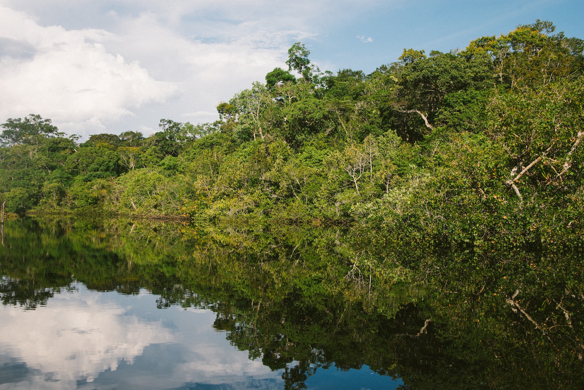 Você está visualizando atualmente DIA DA AMAZÔNIA: Símbolo de preservação da riqueza natural