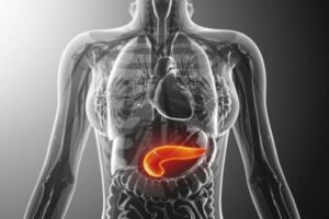 Leia mais sobre o artigo Estudo desvenda desenvolvimento dos tumores no pâncreas