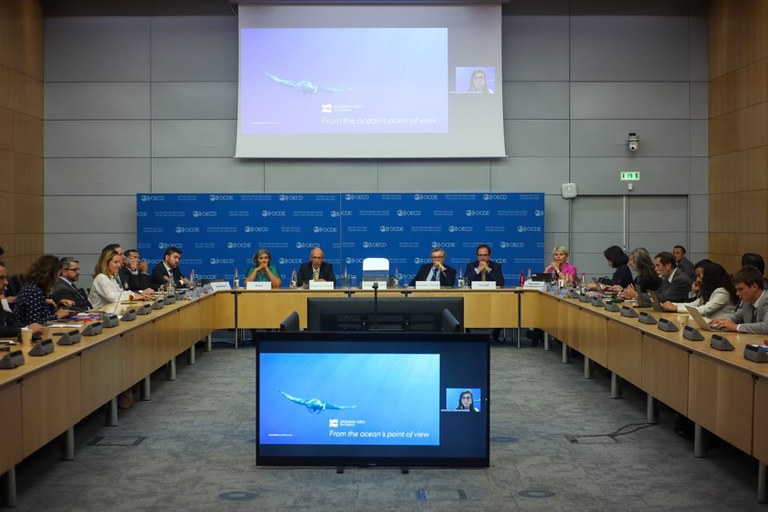 No momento, você está visualizando OCDE faz evento em Paris para debater ações de sustentabilidade