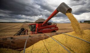 Leia mais sobre o artigo Brasil deve colher safra agrícola recorde em 2022