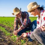 Agricultura familiar terá novo cadastro a partir desta terça-feira (1)