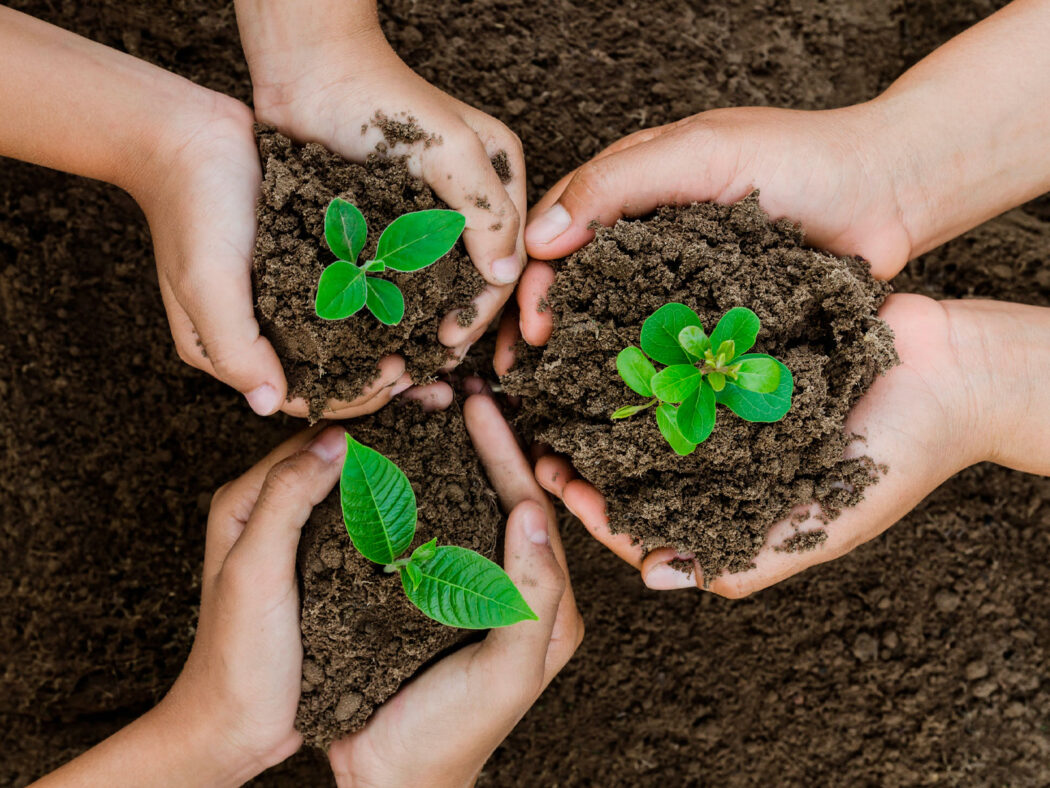 Você está visualizando atualmente FORMAÇÃO EM ECOLOGIA QUANTITATIVA: Inscrição até 8/11