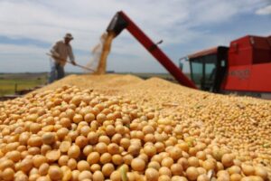 Leia mais sobre o artigo Mato Grosso recebe investimentos no Agronegócio