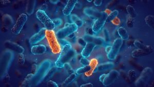 Leia mais sobre o artigo Terapia pode impedir avanço das bactérias resistentes a antibióticos