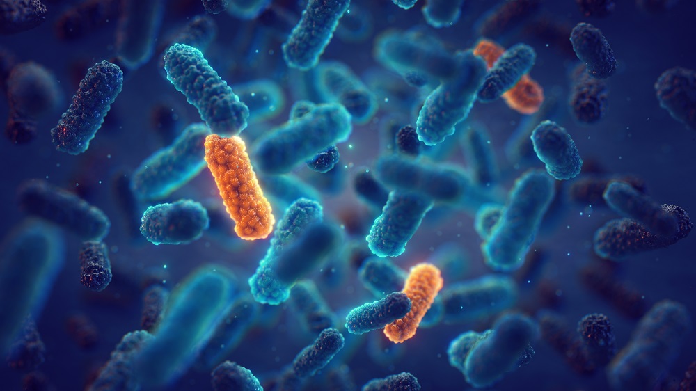 No momento, você está visualizando Terapia pode impedir avanço das bactérias resistentes a antibióticos