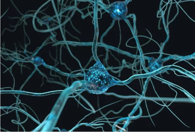 No momento, você está visualizando Cientistas acham provável gatilho para ELA