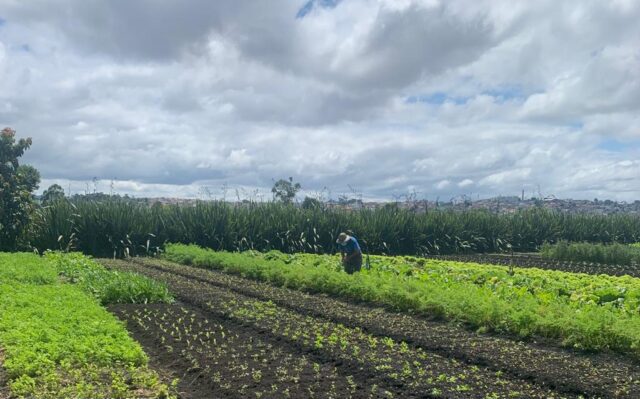 Você está visualizando atualmente Brasil lista ações de sustentabilidade dos últimos anos