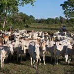 Cuiabá sedia ‘3º Encontro de Produtores da Fazenda Sustentável’