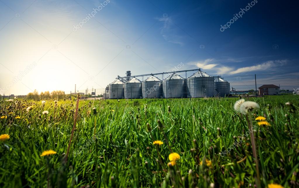 Você está visualizando atualmente Participação no PIB demonstra força do agronegócio de MT