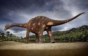 Leia mais sobre o artigo Fósseis de dinossauro são encontrados por acidente em SP