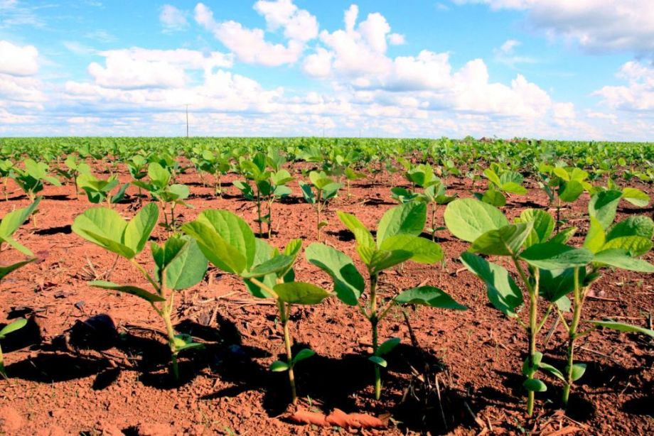 Você está visualizando atualmente ICMS será de 2% na importação de insumos agrícolas em 2023