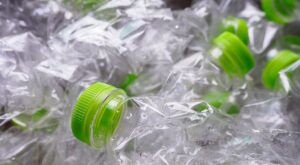 Leia mais sobre o artigo Novo tipo de plástico se biodegrada em dias