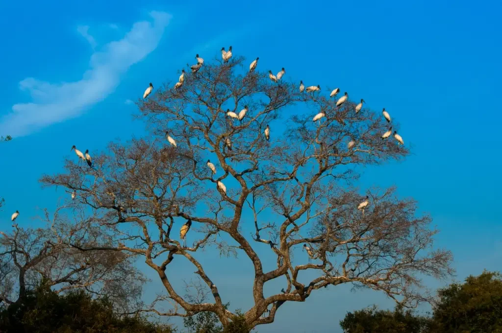 Você está visualizando atualmente Os destinos mais acolhedores do Brasil