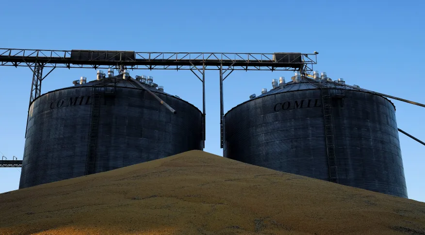 Você está visualizando atualmente Agronegócio deve ter maior crescimento desde 2017