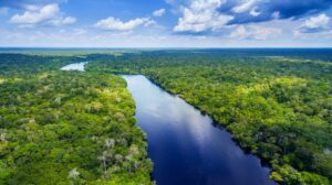 Leia mais sobre o artigo Alemanha doa 35 milhões de euros para o Fundo Amazônia