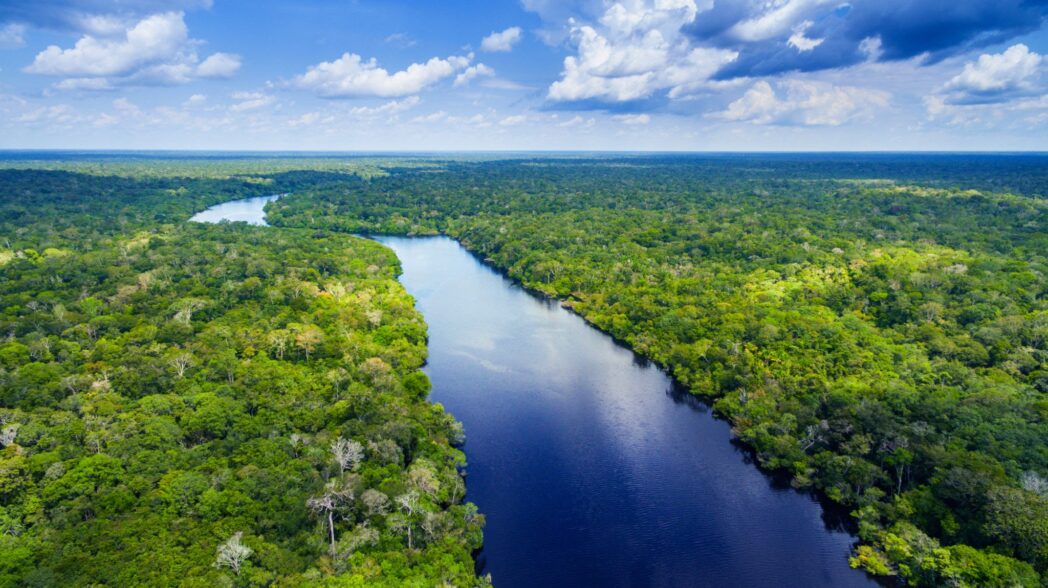 No momento, você está visualizando Alemanha doa 35 milhões de euros para o Fundo Amazônia