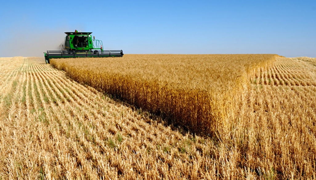 Você está visualizando atualmente Mato Grosso projeta crescimento de 3,7% do PIB, com agronegócio