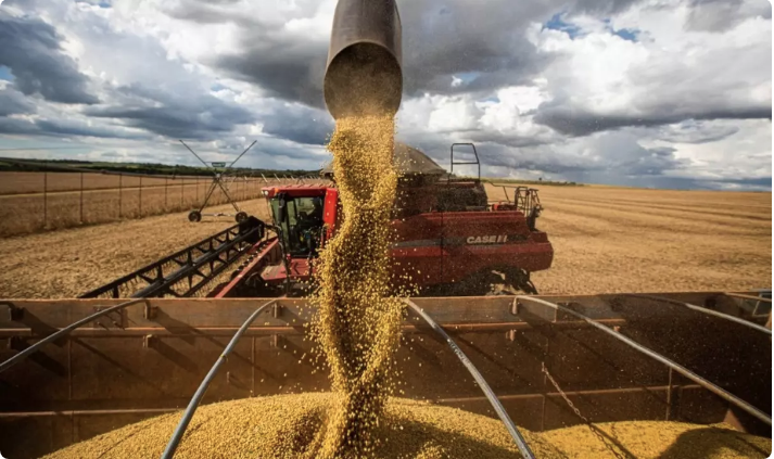 No momento, você está visualizando Agronegócio no Brasil dá salto em 20 anos