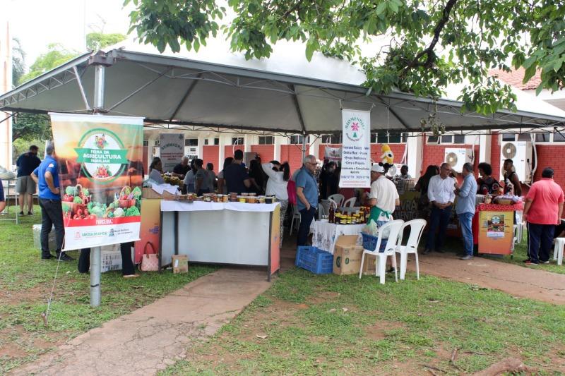 No momento, você está visualizando VG: Feira da Agricultura Familiar será realizada mensalmente