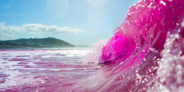 No momento, você está visualizando Cientistas ‘criam’ água do mar rosa em praia dos EUA