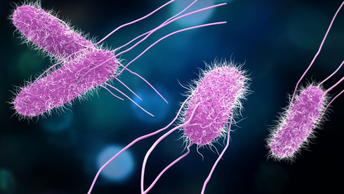 No momento, você está visualizando Brasileiros descobrem como Salmonella ataca bactérias do bem