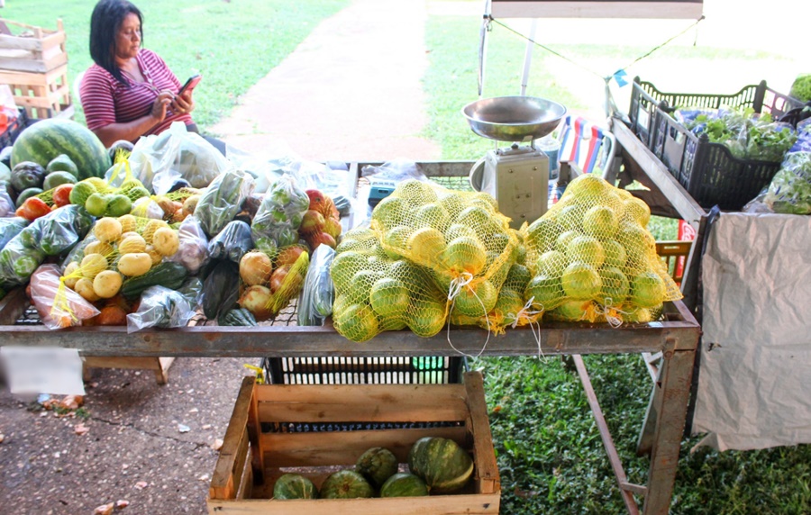 Você está visualizando atualmente Feira da Agricultura Familiar impulsiona pequeno produtor