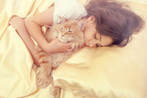 Leia mais sobre o artigo Os cuidados com quem divide a cama com seu gato